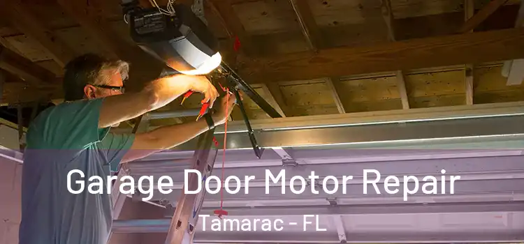  Garage Door Motor Repair Tamarac - FL