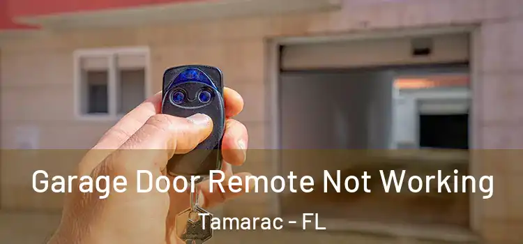  Garage Door Remote Not Working Tamarac - FL