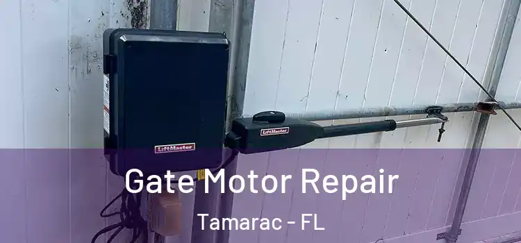 Gate Motor Repair Tamarac - FL