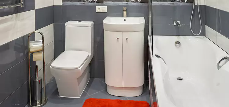 Hansgrohe Shaving Mirror Tamarac