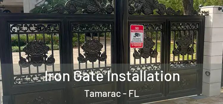 Iron Gate Installation Tamarac - FL